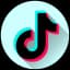 Tiktok Bulk Downloader