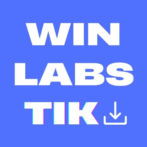 WINLABSTIK