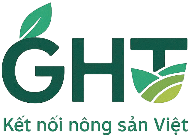 GHT.vn