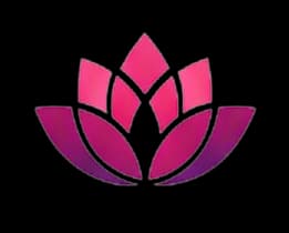 HOCAI APP