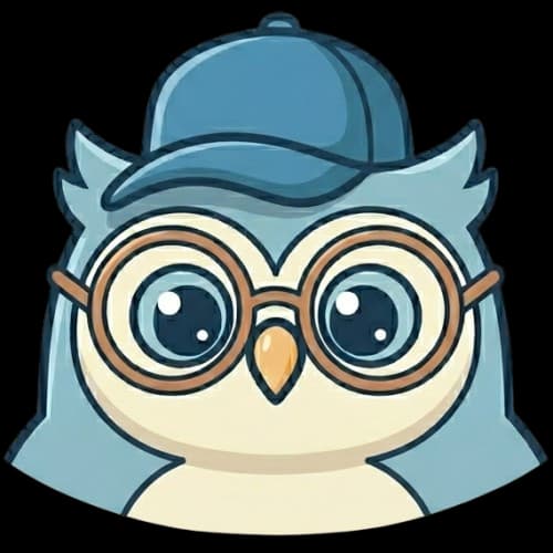 VSTEP Owl