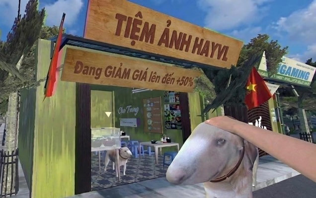 Hay VL's banner